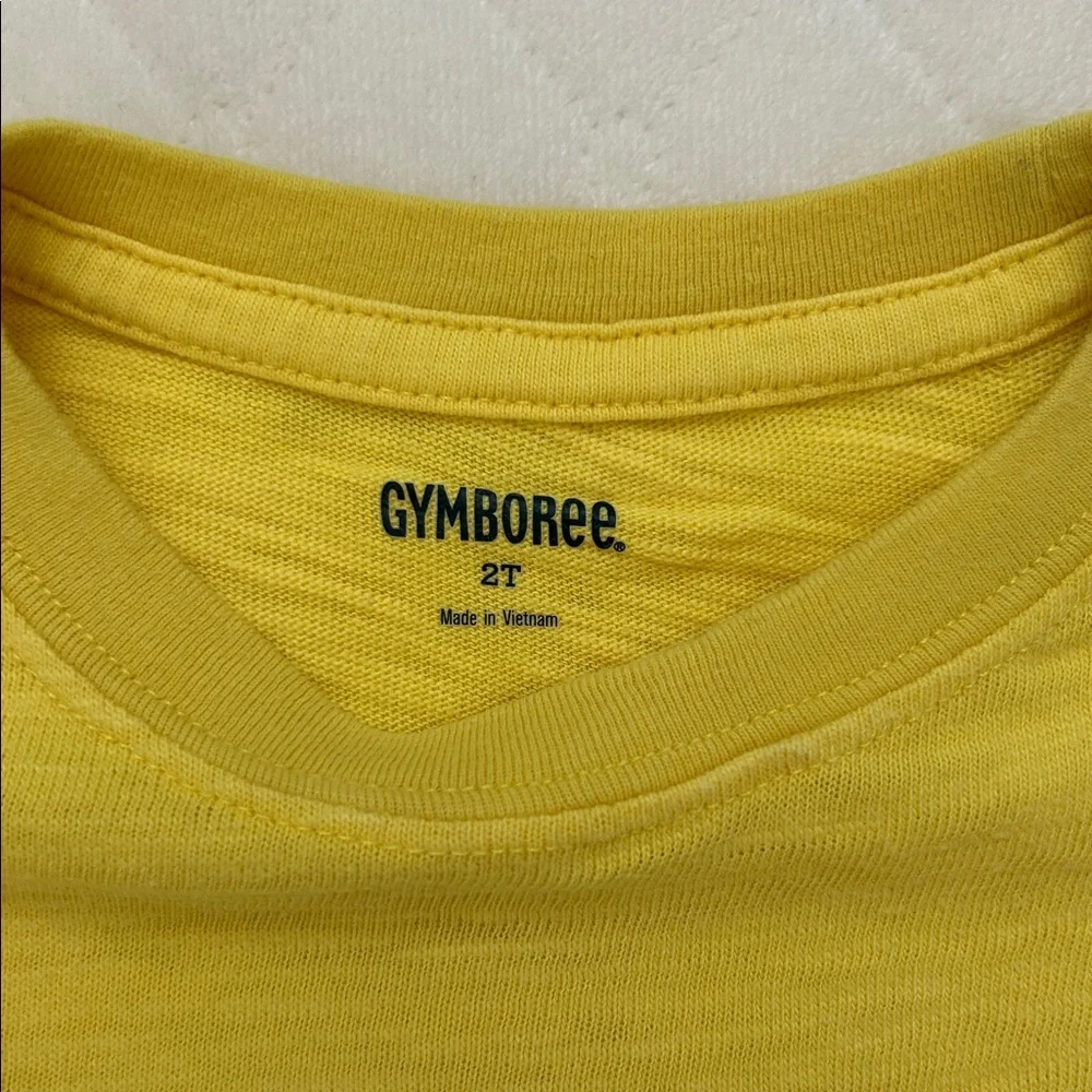 Gymboree | Yellow Pocket T-shirt | 2T